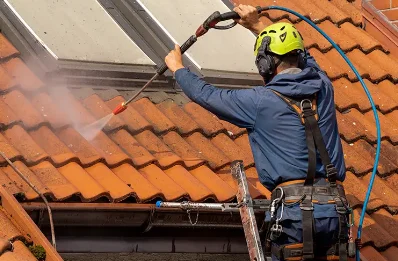 Démoussage et hydrofuge de toiture à Lescun